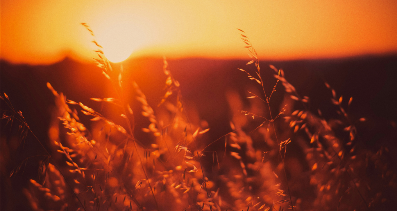 native artists canada quebec city