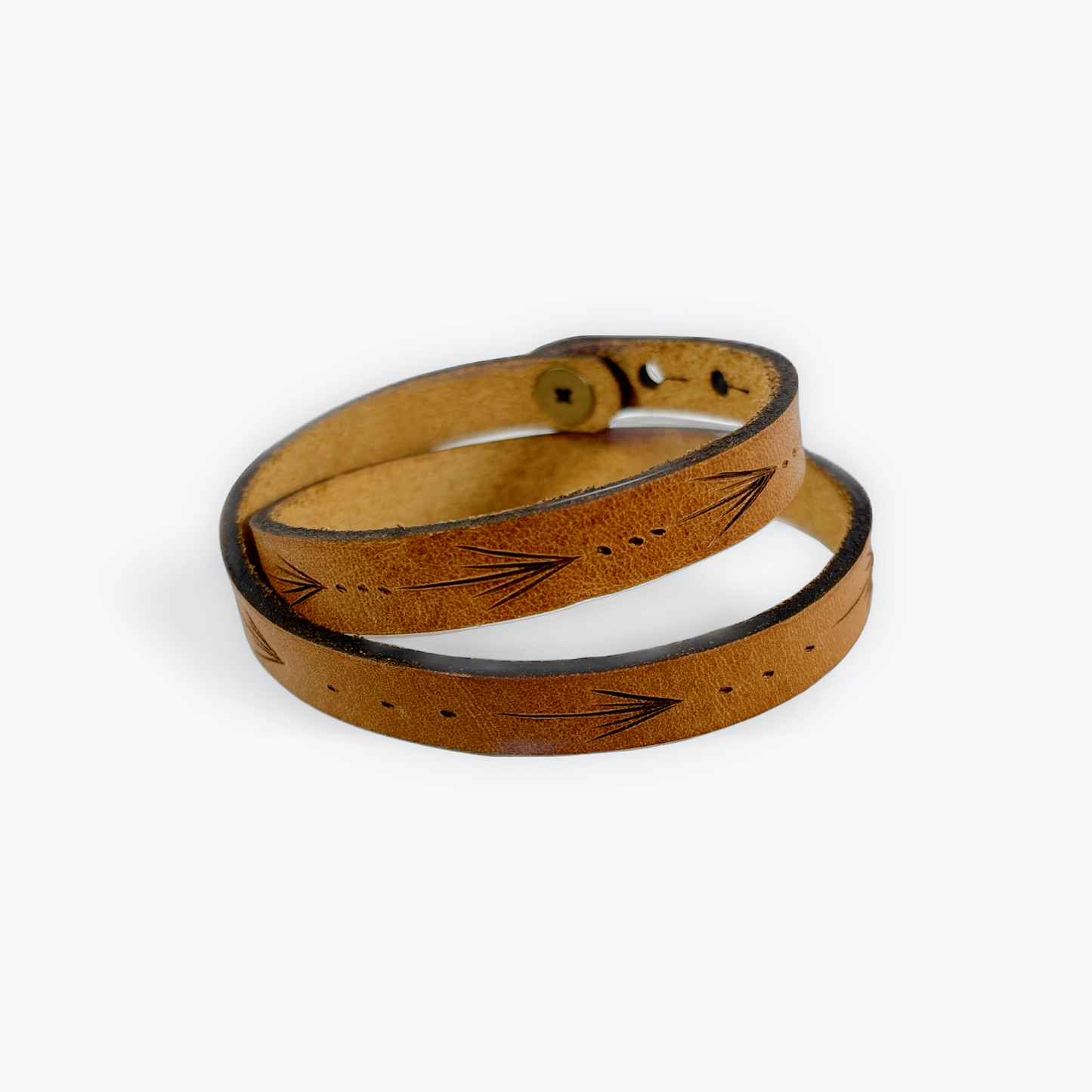 aboriginal canadian artists maple ridge