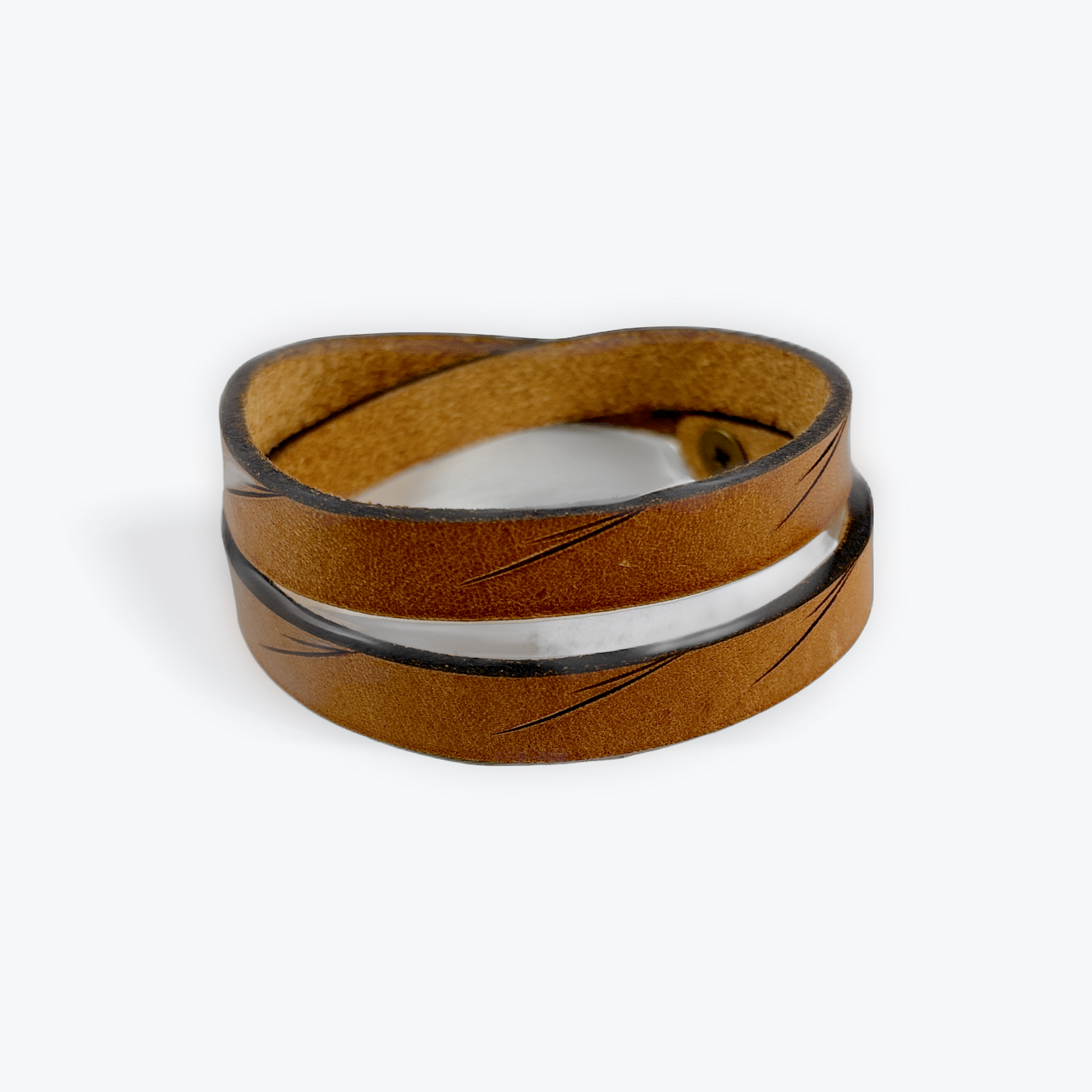 aboriginal canadian artists langley