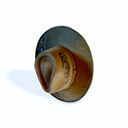 Forest | Woodgrain Rancher | M