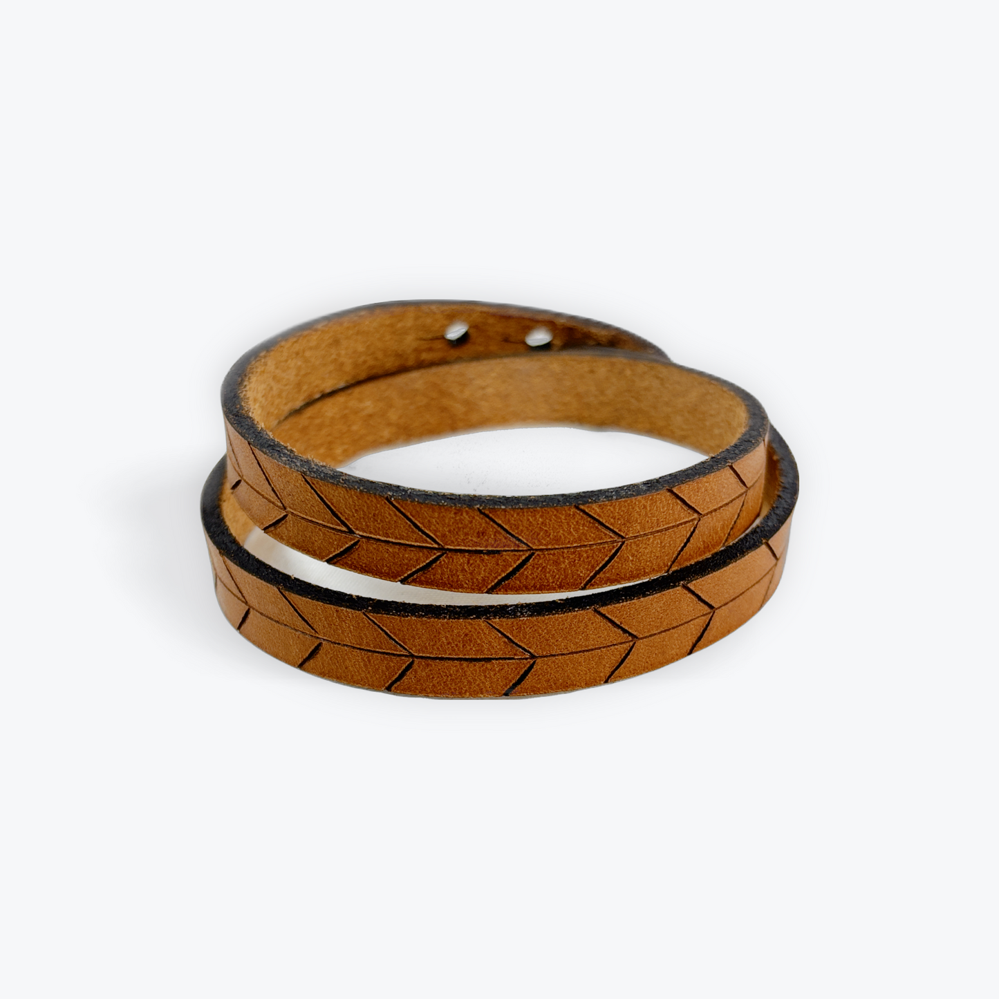 aboriginal canadian artists coquitlam