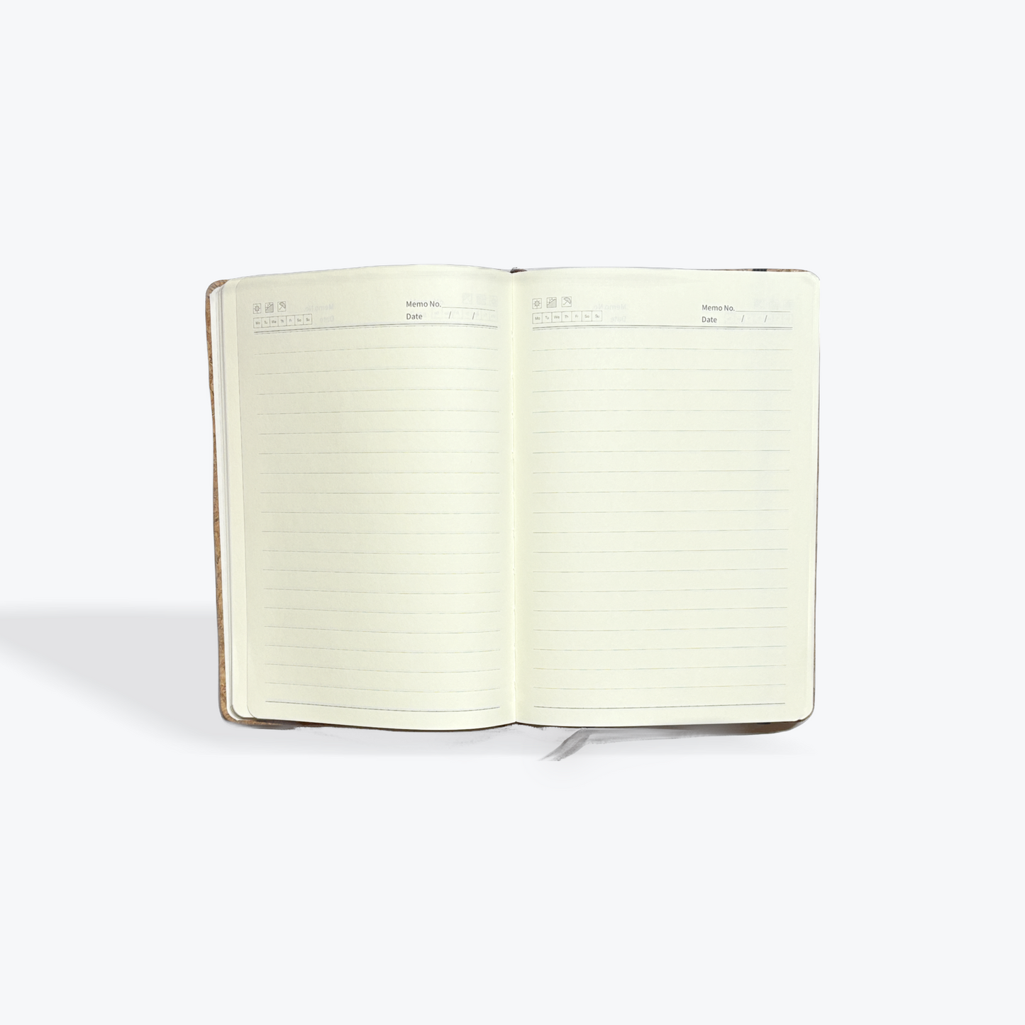 canada indigenous art regina